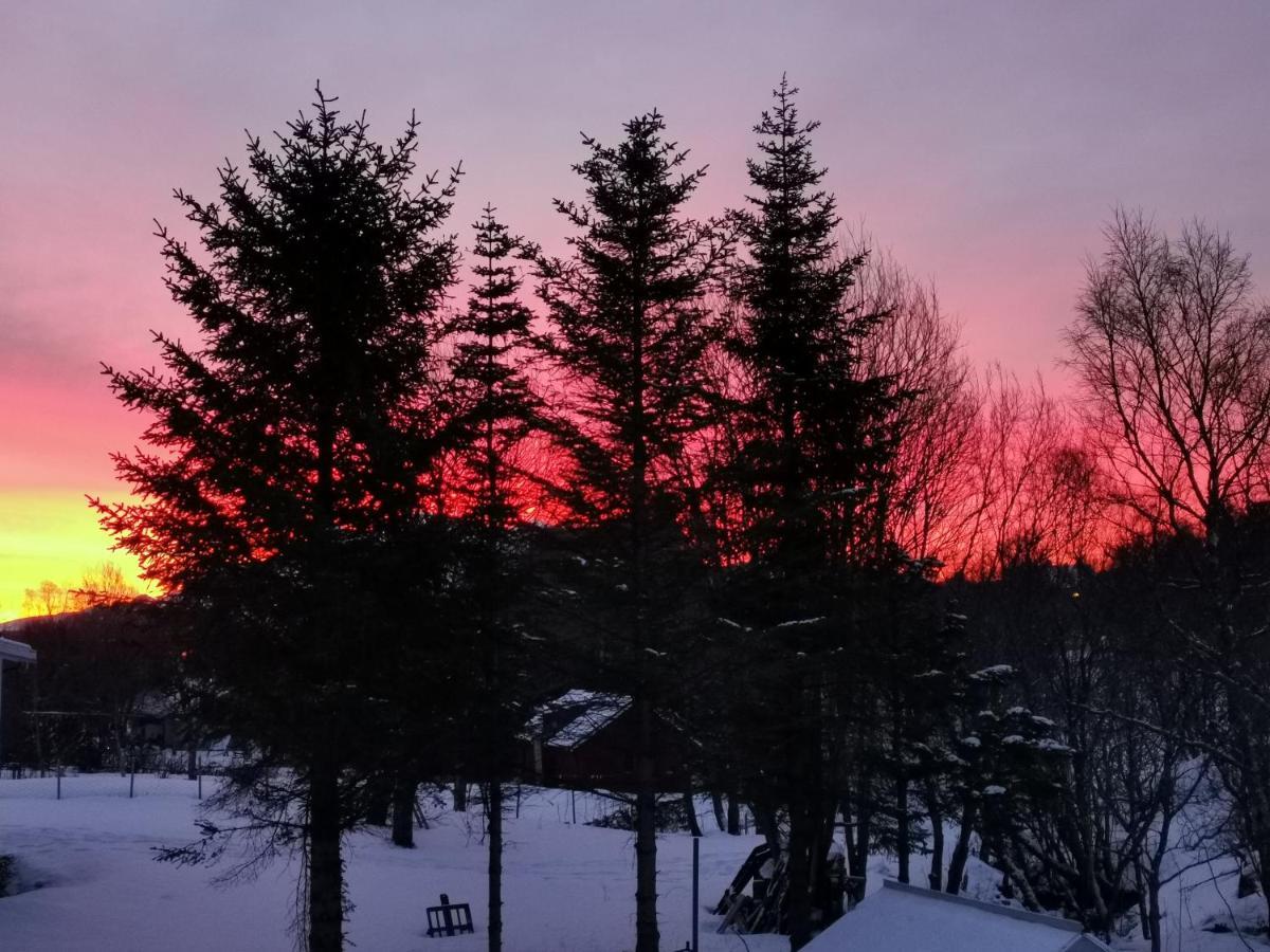 Cozy Home Gravdal  ภายนอก รูปภาพ