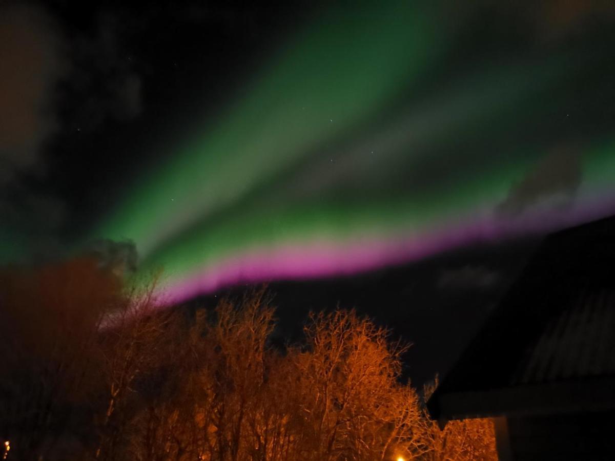 Cozy Home Gravdal  ภายนอก รูปภาพ